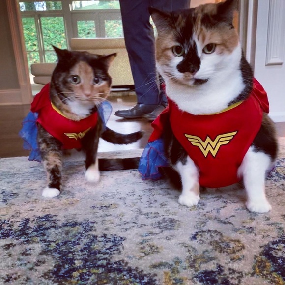 Meet your Posher, Tawnda - Picture 16 of 16